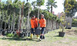 Mersin Büyükşehir’den ‘ağaçlandırma kampanyası’