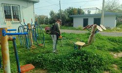 Akdeniz’de bahar temizliği: parklar yaza hazırlanıyor