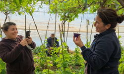 Tarım işçisi kadına unutulmaz doğum günü