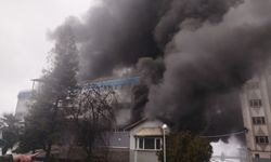 Trabzon'da fındık fabrikasında yangın