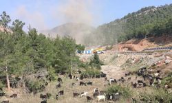 Aydıncık'ta çevreciler kazandı