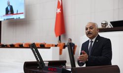 "Emekliyi çalışmaya mecbur bırakan düzen can alıyor"