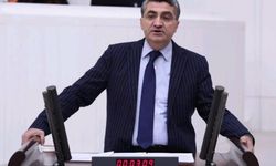 Mersin sahillerindeki plastik atıklar meclis gündemine taşındı