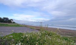 Mersin’de güneş yüzünü gösterdi, vatandaş parklara akın etti