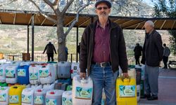 Çiftçiye ücretsiz solucan gübresi desteği