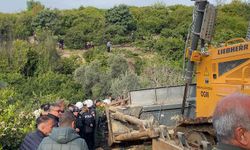 Anayurt Mahallesi’nde ağaç sökümüne tepki