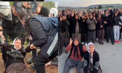 Mersin'de ormanlık alana ekili narenciye bahçelerinin kaldırılması kararına tepki