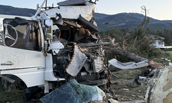 Freni boşalan sebze yüklü TIR ağaca çarparak durabildi