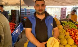 Sezonun ilk kavunları tezgaha çıktı