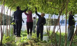 Mersin'de Sera Altında Yeşil Mesai Başladı