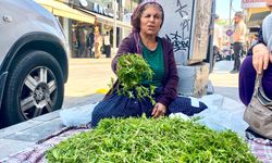 Mersin caddelerinde keskin aroma