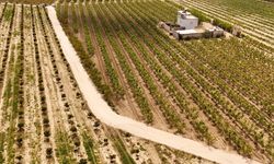 Tarsus Belediyesi’nden Mantaş Mahallesi’nde yol seferberliği