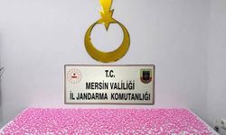 Mersin’de zehir tacirlerine operasyon