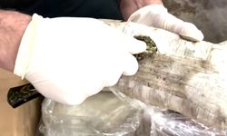 71 ilde zehir tacirlerine operasyon: 373 tutuklama