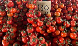 Domates bu hafta da pazarda şampiyonluğunu sürdürdü