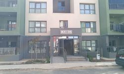 Adıyaman'da parçalanmış halde yavru kedi bulundu