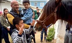 Otizmli çocuklara atla terapi desteği