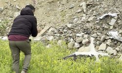 Saçmalarla yaralanan leyleğe ilk yardım kuş gözlemcisinden