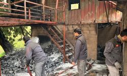 Evde çıkan yangın hasara yol açtı