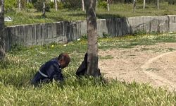 Tarsus Şelalesi Köprüsü’nde korkuluklar tel örgüyle güçlendirildi