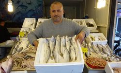 Akdeniz'de av yasağı başlıyor