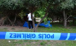 Antalya'da bir kişi ağaçlık alanda ölü bulundu