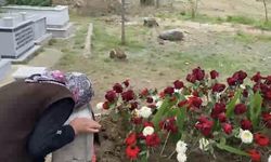 Küçük Adnan’ın ölümü sonrası teyzesinden yürek burkan feryat