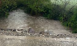 Tarım arazileri ve yollar sular altında kaldı