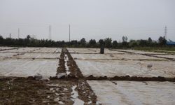 Dolu yağışı tarım arazilerinde zarara yol açtı