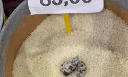 Mersin’de skandal görüntü: Pirinçten kedi dışkısı çıkan markete ceza