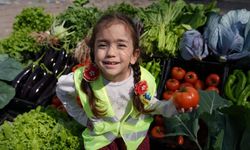 Mersin'de minik öğrenciler sebze hasadı yaptı