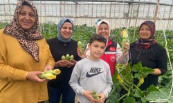 Kadın eliyle gelen başarı: Seradan dünyaya