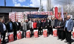 320 üreticiye 6 bin kilogram ayçiçeği tohumu dağıtıldı