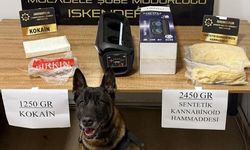 Müzik kutusundaki zehri polis köpeği buldu