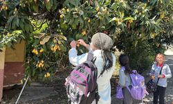 Talep azalınca bedava dağıttı, poşetini alan bahçeye koştu
