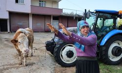 "Bir anda sel geldi, ahırın üstünü aştı"