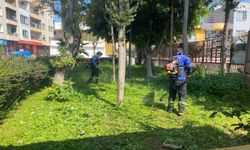 Akdeniz’de yeşil seferberlik