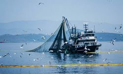 Denizlerde av yasağı 15 Nisan'da başlıyor