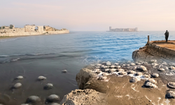 Bu yaz denize girmek sorun olabilir