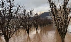Antalya'da tarım arazileri sular altında kaldı