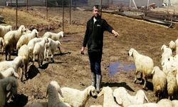 Besiciler dertli: Yüksek ücrete rağmen işçi bulunamıyor