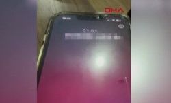 26 günlük yavru köpeklerin kulakları kesilip satılıyor