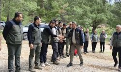 Türkiye Ormancılık Yarışmaları Mersin’de tamamlandı