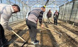 Geleceğin tohumları modern altyapıyla yeşeriyor