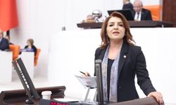 CHP Mersin Milletvekili Kış kanser hastaları için konuştu