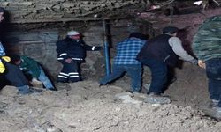 Sağanak nedeniyle ağıl çöktü: 6 keçi telef oldu