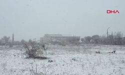 Malatya'da kar yağışı etkili oldu