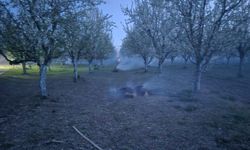 Zirai dona karşı tütsüleme yöntemi