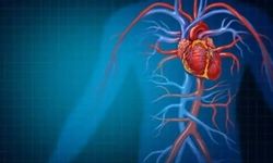 Uzmanından uyarı: "30 yaşından sonra kolesterol düzeyine baktırılmalı"