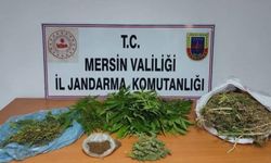 Tarsus'ta jandarmadan uyuşturucu operasyonu